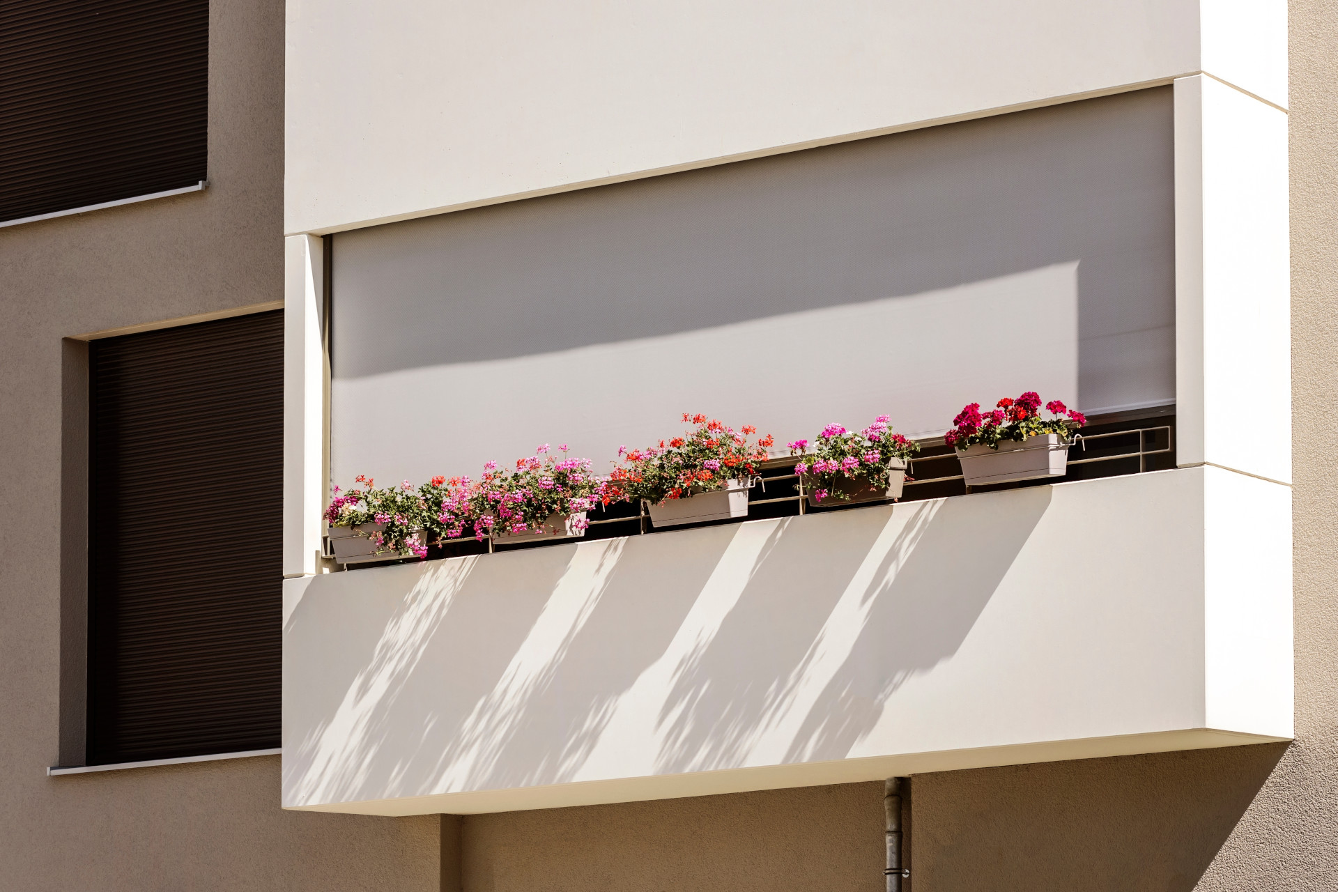 Outdoor Screen